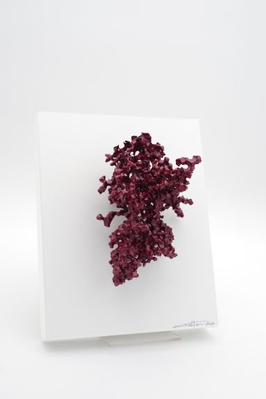 Art. -Nr.: 405949